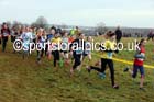 Girls under-13s North Eastern Cross Country, Aykley Heads, Durham. Photo: David T. Hewitson/Sports for All Pics